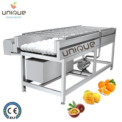 2021 Prickly Pear Fruit Washing Polishing Cleaning Machine with Stainless Steel 304