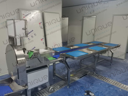 High Capacity 2.25kw Green Onion and Cucumber Slicing Machine with Big Advantage