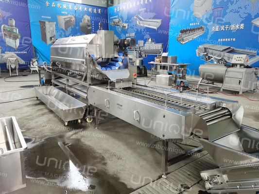 Potato Peeling and Washing Machine 2.25 kw for Food Processing Industries Efficiency