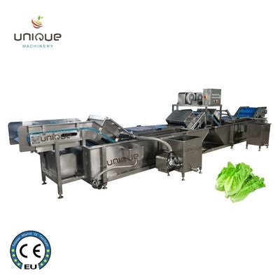 Stainless Steel 304 Onion and Parsley Leaf Vegetable Washing Machine with Performance