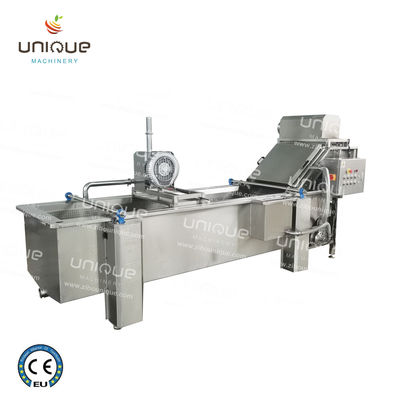 850 KG Capacity Leaf Vegetable Bubble Washing Line for Manufacturing Plant Production