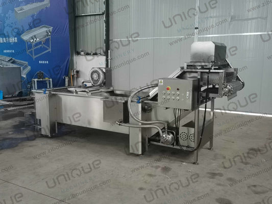 850 KG Capacity Leaf Vegetable Bubble Washing Line for Manufacturing Plant Production