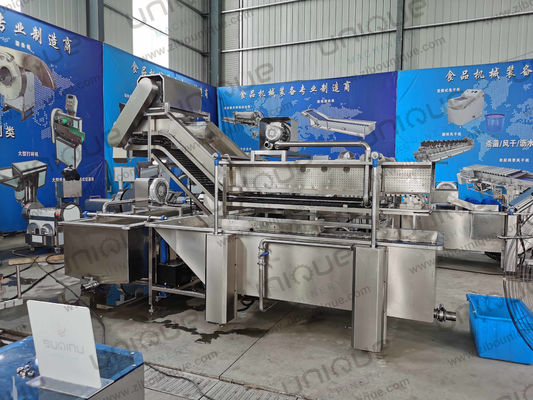 850 KG Capacity Leaf Vegetable Bubble Washing Line for Manufacturing Plant Production