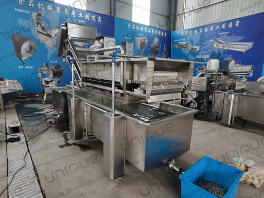 850 KG Capacity Leaf Vegetable Bubble Washing Line for Manufacturing Plant Production