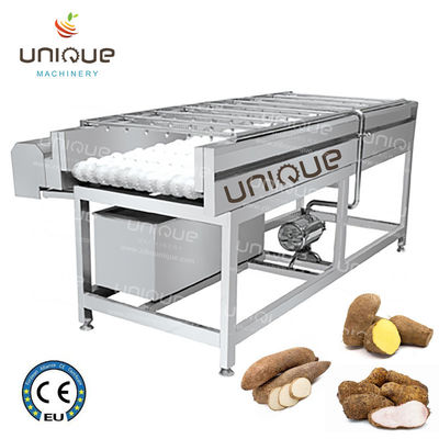 2.25 kw Oyster Vegetable Brush Washer for Yam and Malanga Washing in Large Scale