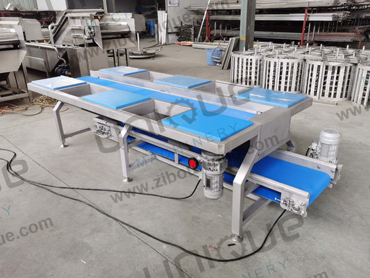 Stainless Steel Vegetable Sorting Table and Conveyors Vegetable Preparation Table 0.74 kW