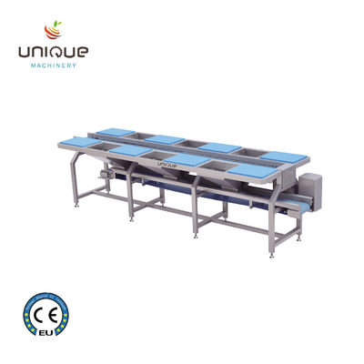 Stainless Steel Vegetable Sorting Table and Conveyors Vegetable Preparation Table 0.74 kW