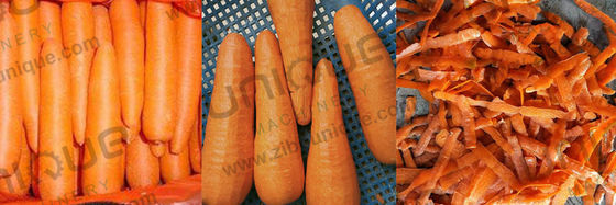 Carrot Processing Machine for Precise Carrot Skin Peeling 1930*500*1050 mm