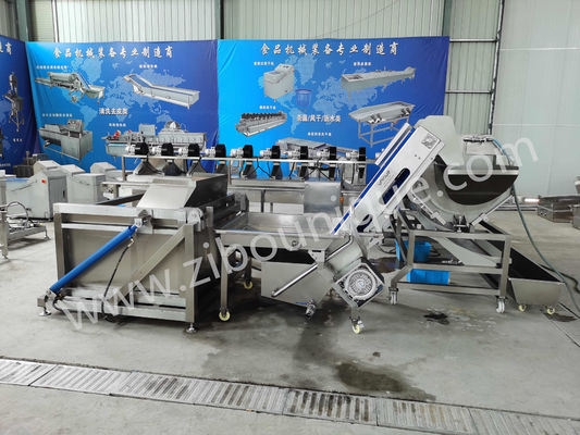240 KG Automatic CE Certificate Vegetable Carrot Sweet Potato Soaking Elevator for Fruit and Vegetables