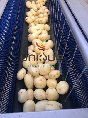 1.75 kw Easy Operation Ginger Carrot Potato Brush Roller Washer Root Vegetable Washing Machine