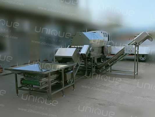 2000kg/h High Pressure Air Onion Peeler Processing Line for Large Scale Production