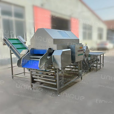 2023 Year Automatic Onion Skin Peeling Machine Perfect Solution for Onion Processing