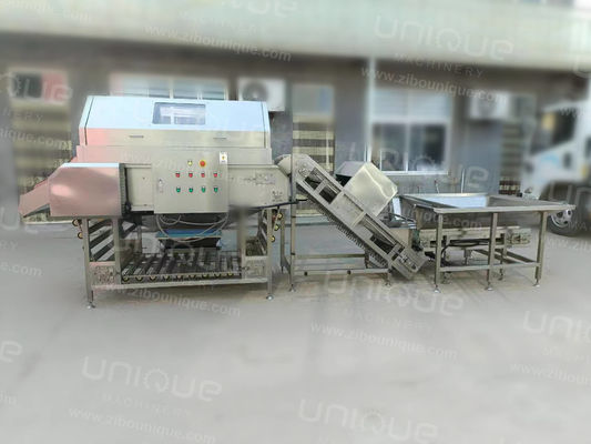 2023 Year Automatic Onion Skin Peeling Machine Perfect Solution for Onion Processing