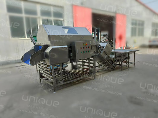 2023 Year Automatic Onion Skin Peeling Machine Perfect Solution for Onion Processing