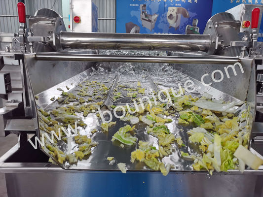Stainless Steel 4.4KW Cabbage Washing Machine for Vegetable and Salad Sterilization