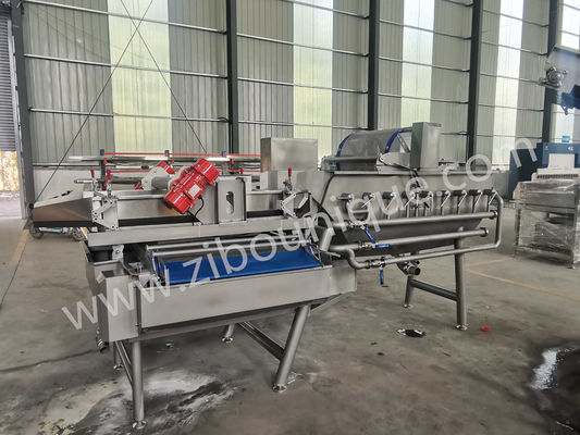 Stainless Steel 4.4KW Cabbage Washing Machine for Vegetable and Salad Sterilization