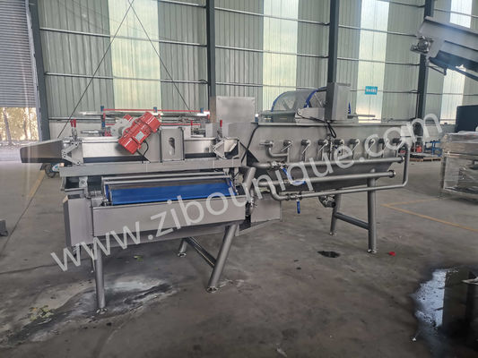 Stainless Steel 4.4KW Cabbage Washing Machine for Vegetable and Salad Sterilization