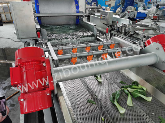 Stainless Steel 4.4KW Cabbage Washing Machine for Vegetable and Salad Sterilization