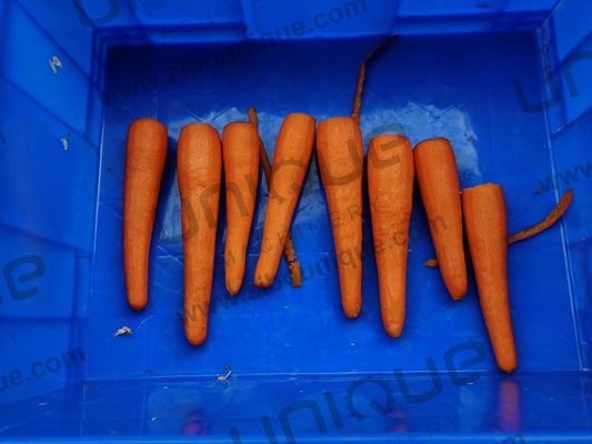 Automatic Fruit and Vegetable Carrot Skin Peeling Machine with 1930*500*1050 mm Size