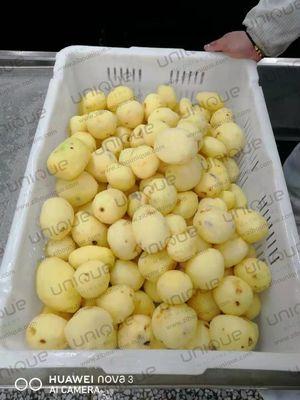 Customized Voltage Potato Washing and Peeling Machine for Food Processing Industries