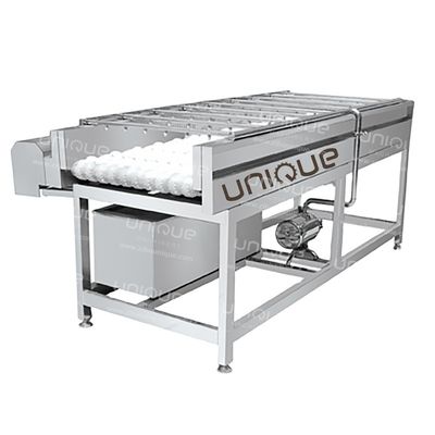 Mango Brush Cleaning Machine for Pear Apple Carrot Mud Cleaning 3000*1250*1350 mm