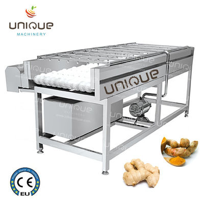 Mango Brush Cleaning Machine for Pear Apple Carrot Mud Cleaning 3000*1250*1350 mm