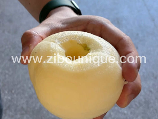 Video Technical Support for and Industrial Electric Apple Peeler Corer Slicer Machine