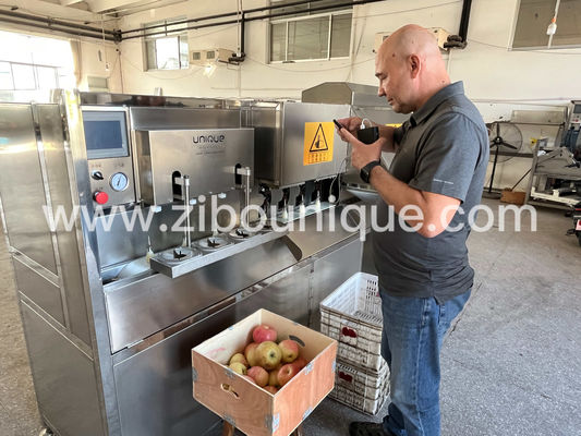 Video Technical Support for and Industrial Electric Apple Peeler Corer Slicer Machine