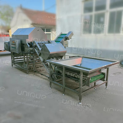 Automatic Onion Processing Line with Food Beverage Onion Peeling and Cutting Machine