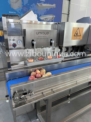 Customized Voltage 304 Stainless Steel Apple and Pear Peeling and Coring Cutting Machine