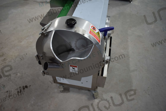 Highly Versatile Fruit and Leaf Vegetable Slice Machine with 220v/customized Voltage