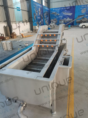 5000x1450x1400 Mm Bubble Vegetable Washing Machine For Vegetable Fruit Cleaning Line