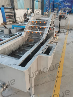 5000x1450x1400 Mm Bubble Vegetable Washing Machine For Vegetable Fruit Cleaning Line