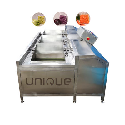 Sand Blasting Surface Fruit and Vegetable Batch Washer for Style Salad Washing Machine